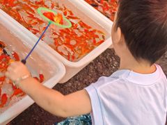 -清平路水族市场