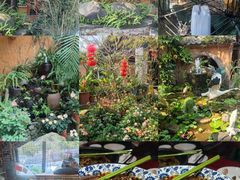 -园林美食城·本土农家菜(杨和镇店)