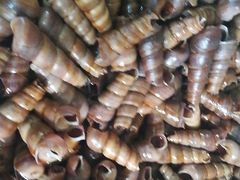 -宾朋海鲜美食特色餐厅·纯手工鲅鱼水饺(兴海路店)