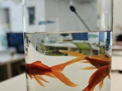 -曲江大雅幼儿园·托育(西安市雁塔区店)