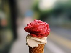 -Dal Cuore 达可芮冰淇淋(陕西北路店)