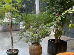 -袁妈红豆汤(重庆总店)