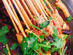 -食鸡公社辣子鸡·潍坊菜·烧烤