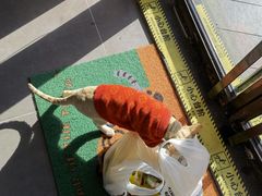 -PETKIT 小佩宠物·德文赛凯猫舍