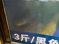-爱妻鱼•老体北重庆水煮鱼•川菜(白云路店)