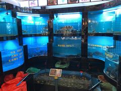 -千岛湖小鱼儿·淳安匠心农家菜