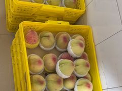 -老袁家蜜桃农场·阳山水蜜桃