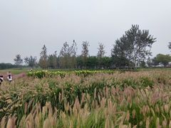 -汉长安城未央宫国家考古遗址公园