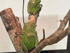 -上海昆虫博物馆