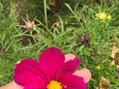 -漩门湾国家湿地公园