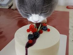 -派悦坊·甜品·蛋糕(日坛店)