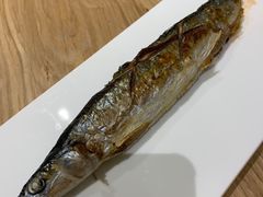 -一本钓鲔鱼屋