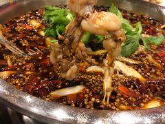-烧哥美蛙肥肠鱼火锅·十五年社区店