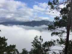 -温州永嘉书院