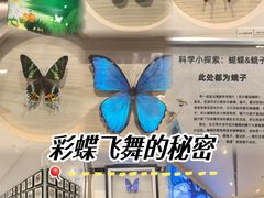 -深圳龙华星河COCO City(民治店)
