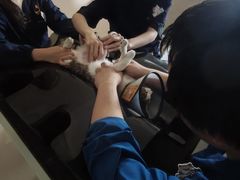 -御宝贝24h宠物医院·转诊中心·CT核磁血透中心(厦门总院)