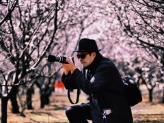 -太阳宫公园