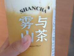 -雾与山茶(大禹城店)