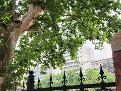 -湖北省中医院(花园山院区)