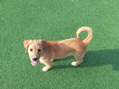 -西安电影制片厂