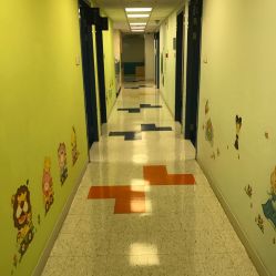 -杭州贝瑞斯美华妇儿医院·早孕·产检·儿科