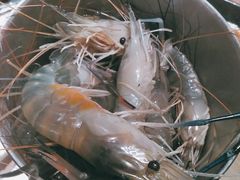 -星伦多自助料理(永旺店)