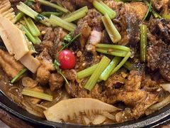 -老板恋上鱼(恒隆广场店)