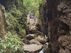 -鹿院坪生态旅游景区