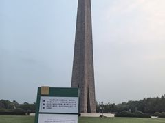 -合肥滨湖国家森林公园