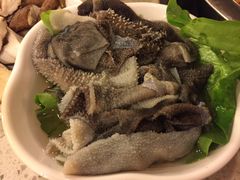 -朱氏胖子烂火锅(洪崖洞店)