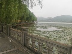 -鸣鹤古镇
