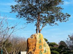 -天适樱花悠乐园