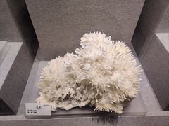 -贵州省地质博物馆