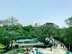 -麦当劳(海洋公园店)