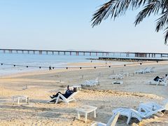 -巨鹏飞梦幻海岸