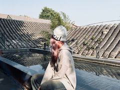 -自如ZSPACE四合院艺术餐厅