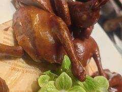 -新雅粤菜馆(南京东路店)