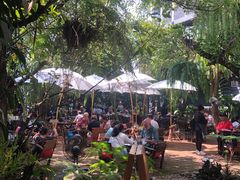 -Fern Forest Cafe
