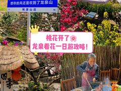 -桃源山庄·水蜜桃采摘·柴火鸡·烧烤团建(龙泉山店)