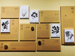 -中国湿地博物馆