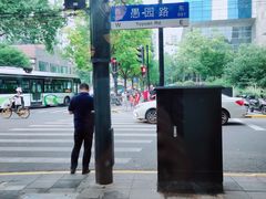 -WHEN PIGS FLY当猪飞