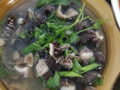 -小杨翘脚牛肉