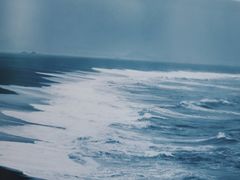 -隹木咖啡馆(宝龙广场店)