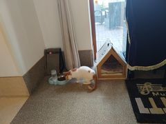 -首开寸草亚运村养老院