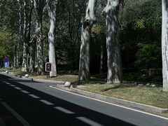 -河南省黄河迎宾馆