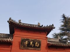 -洛阳白马寺