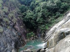 -广州白江湖森林公园