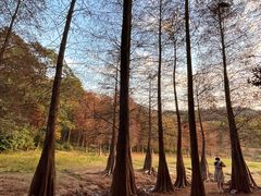 -广州市白云山风景名胜区