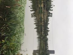 -东岳体育公园