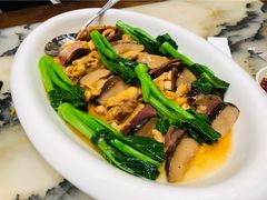 -海王老记
